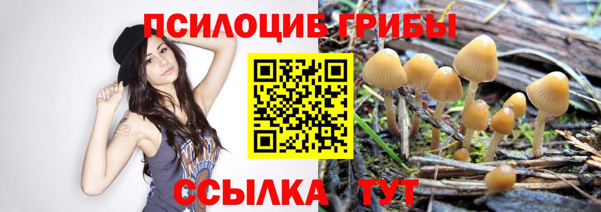 Галлюциногенные грибы прущие грибы  Вход с VPN  Чебоксары 