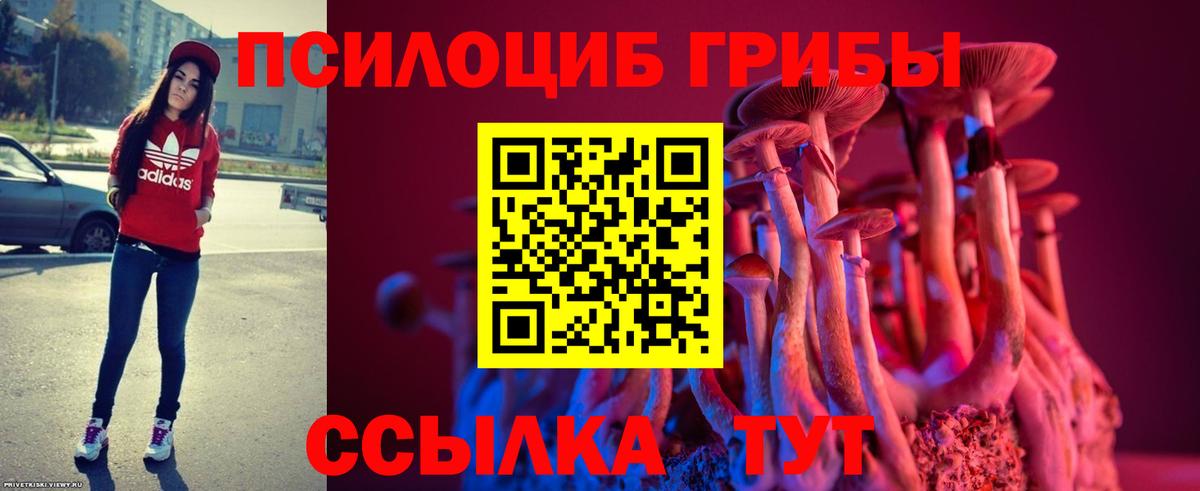 Псилоцибиновые грибы Psilocybe Чебоксары